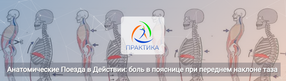 [Анна Щербина] Анатомические поезда в действии_ бо_0.png